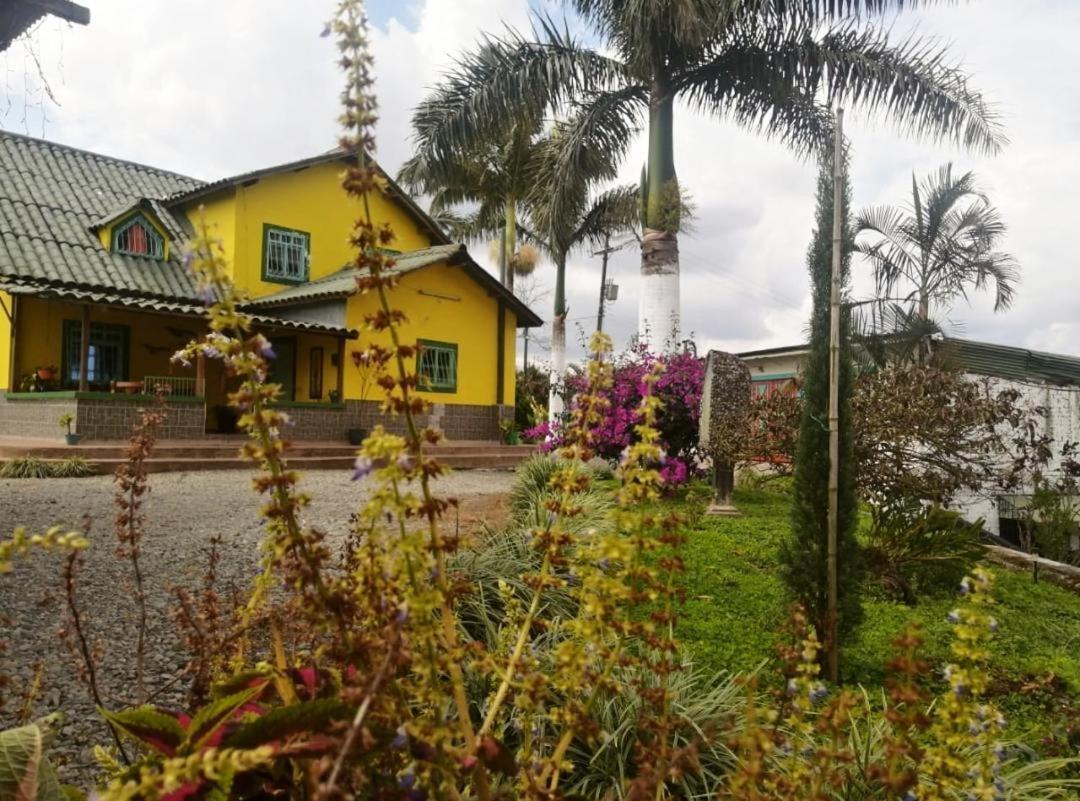 Finca Turistica Santa Clara Vandrehjem Calarcá Eksteriør billede